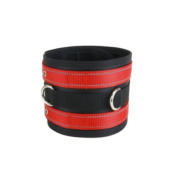 Manitoba Dog Hunting Lightweight Rip Collar