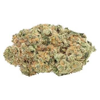 Big Bag O' Buds Tropicanna Tangie / 7g / Whole Flower / Sativa