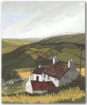 Nico - Wheatfield - Joy Saunders