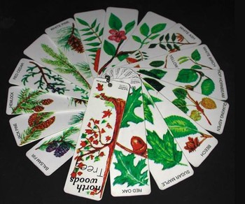 Trees Info Tags