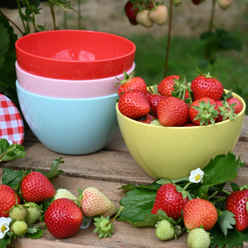STRAWBERRIES & CREAM BOWLS - PACK OF 4