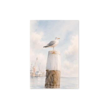 plek kaartje · haven