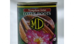 Md Lotus Roots In Brine 560g