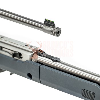 Ruger 10/22 Take-Down Magpul X-22 Backpacker Stock .22 LR