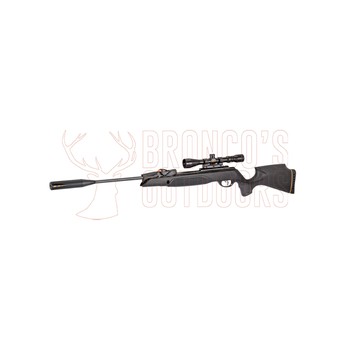 Gamo Swarm Magnum Pro Gen3I .25