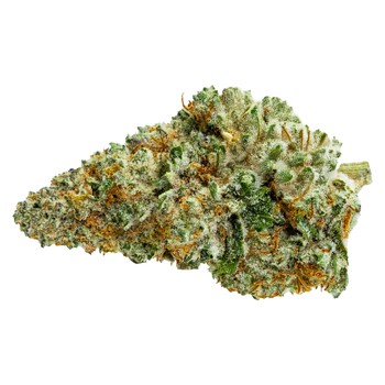Pure Sunfarms Queen Green / 28g / Hybrid