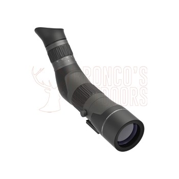 Leupold SX-2 Alpine HD Gen2 20-60x60 Angled Spotting Scope