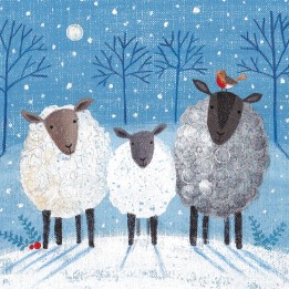 Museums & Galleries - Charity Xmas Cards Pk8 Christmas Bleatings - 289694XAE