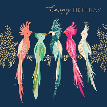 The Art File - Cockatoos Card