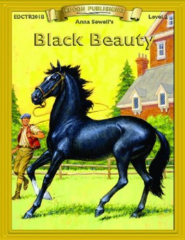 Used BLACK BEAUTY STUDY GUIDE