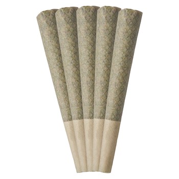 Neon Sunshine (Pre-Roll) / 3g / Pre-Roll Packs (5) / Hybrid