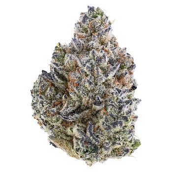 Bubble Up / 3.5g / Indica