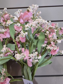 Miniature Pink Bundle