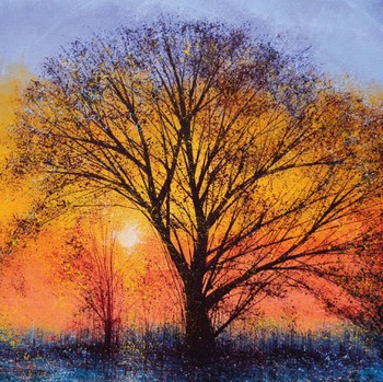 Museums & Galleries The Big Tree At Sunset 340517-KZH
