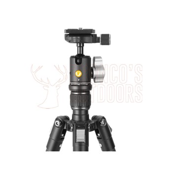 Vanguard Vesta Go 204CB C/Fibre BH-45 Ball Head Tripod