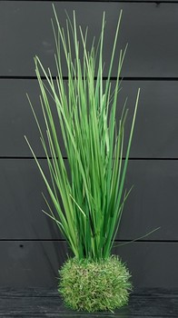 19.75" Onion Grass in Grass Base