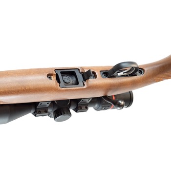 Ruger 10/22 Sporter S/S .22 LR + Burris Fullfield Riflescope 3-12x42mm Plex KSB MY25 + Suppressor
