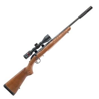 Ruger 10/22 Sporter S/S .22 LR + Burris Fullfield Riflescope 3-12x42mm Plex KSB MY25 + Suppressor
