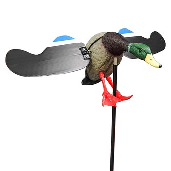 Game on Spinner Winner Drake