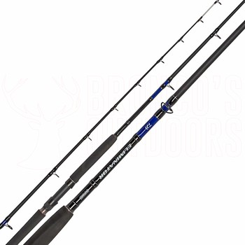 Daiwa Eliminator 962HS 9'6"-2pc 6-10kg + Daiwa Sweepfire 5000