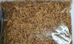 Derana Dried Fish Kooni 100g