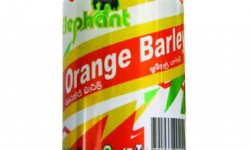 Elephant House Orange Barley 330ml Can