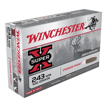 Winchester Super X .243 100gr Power Point