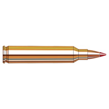 Hornady .204 Ruger 40Gr V-Max Superformance Box 20
