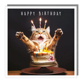 Tracks - Series K - Light Hearted - Blank - Candle Kittie - C3692 (D)