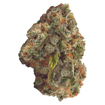Contraband Somari / 7g / Indica