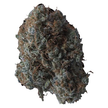 B!tch Slap / 3.5g / Whole Flower / Indica