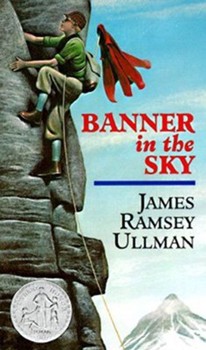 Used Banner in the Sky