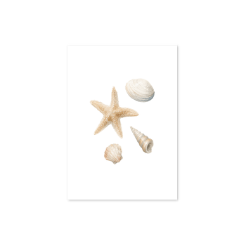 Plek kaartje · strandvondsten