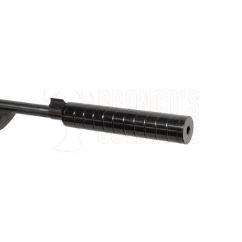 Ruger 10/22 Blued Synthetic Tac Hammer Stock .22 LR + 3-9x32mm Scope + 2 Spare Magazines + Suppressor