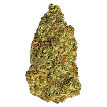 Turbo Diesel / 3.5g / Whole Flower / Hybrid