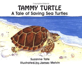 Used Tammy Turtle