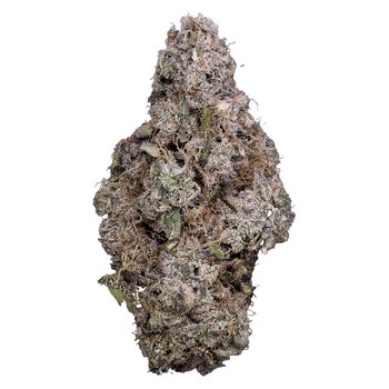 Porto Leche / 3.5g / Hybrid