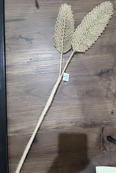 Twine Leaves Stem