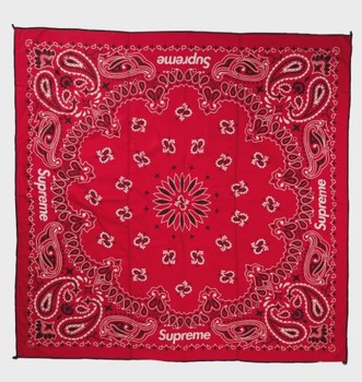 Supreme ENO Islander Nylon Blanket Red New • Brand New [2501] - view 2