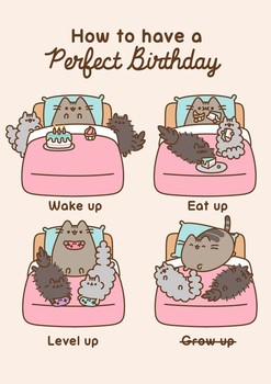 Hype -B19	Pusheen perfect birthday-PUSH057