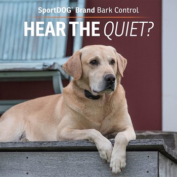 SportDOG NoBark SBC-8 Collar