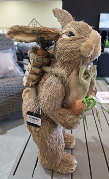 Rabbit with Backpack