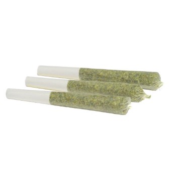 Greybeard Critical Diesel (Pre-Roll) / 1.5g / Pre-Roll Packs (3) / Sativa