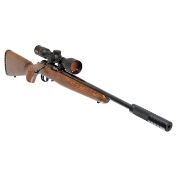 Ruger 10/22 Sporter S/S .22 LR + Burris Fullfield Riflescope 3-12x42mm Plex KSB MY25 + Suppressor