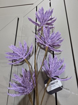 Purple Spider Mum