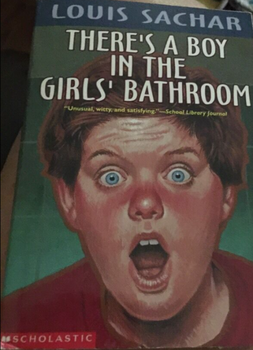 Used There's a Boy in the Girls' Bathroom