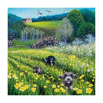 Museums & Galleries Field Of Dreams MEZ145