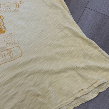 GV Gallery St. Berry Tee "Yellow" • Pre-Owned [1070] - view 6