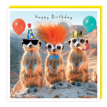 Tracks - Series L Fluff /Gogglie - HB - Meer Cats & Balloons - C3704