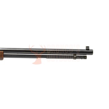 Henry H004V Golden Boy .17 HMR
